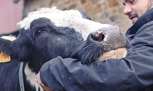 Enfermedades Sistémicas inflamatorias